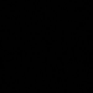 Meet your Posher, Allanah